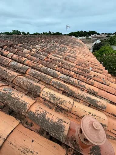 Traitement préventif de toiture - Entretien toiture par LD Habitats